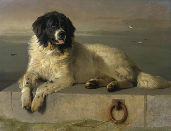 Oil Painting by Landseer